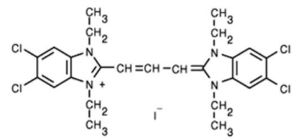 5f1f822df06aa.png image.png