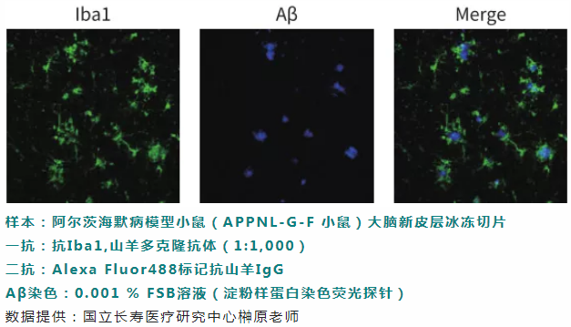 6013bee93c91e.png image.png