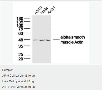 6052ae7135c9a.png image.png