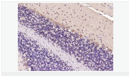 6052b71f66ec8.png image.png