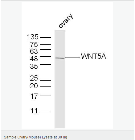 60544f9debe3e.png image.png