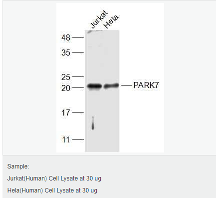 6058391703c1d.png image.png