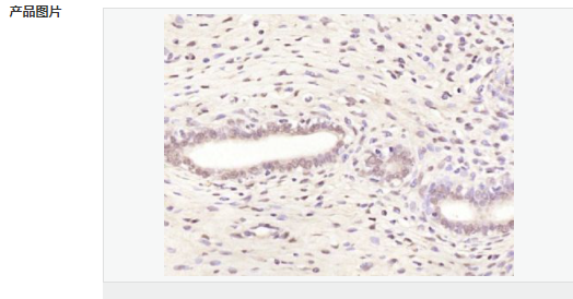 6058398207b2e.png image.png