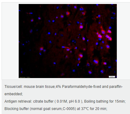 60594957b7ead.png image.png