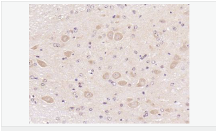 6059974677dff.png image.png