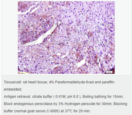 605d77a349da3.png image.png