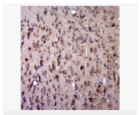 606571dd336b8.png image.png