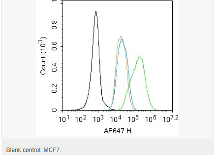 6066d242ee43e.png image.png