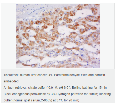 6076418c2bcad.png image.png