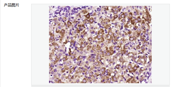 60779bc38aae2.png image.png