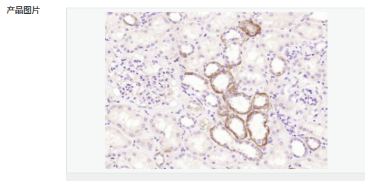 607941ea39d2f.png image.png