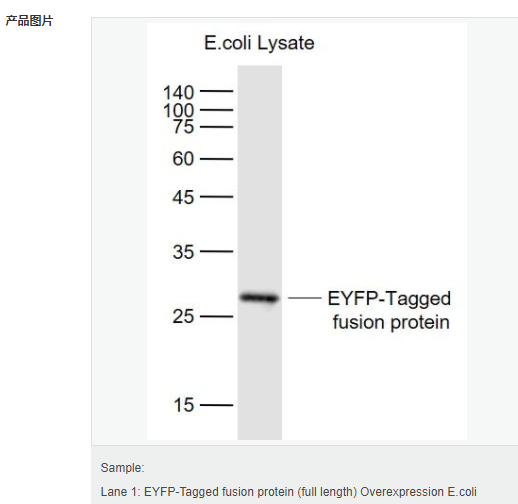 6079513884b05.png image.png